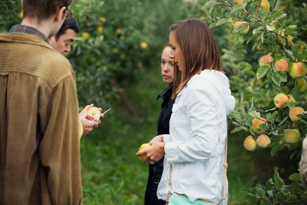 Learning about Opal Apples at an apple orchard.