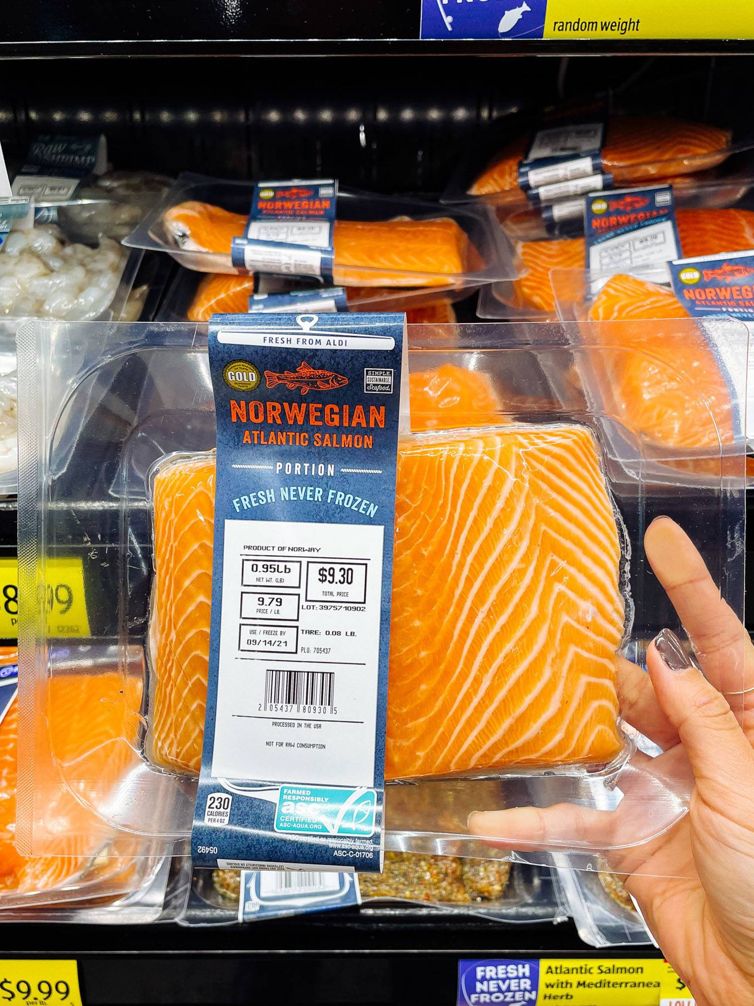 A person holding up a pack of fish in a market.